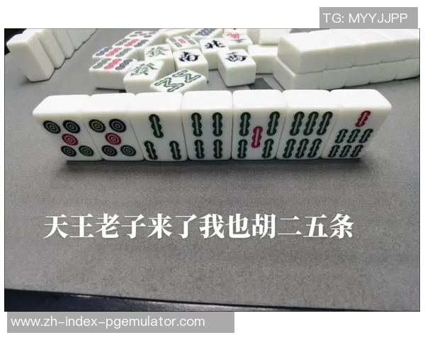 麻将胡了高倍视频-麻将胡了高倍视频,揭秘技巧与策略的乐趣所在-麻将胡了高倍视频